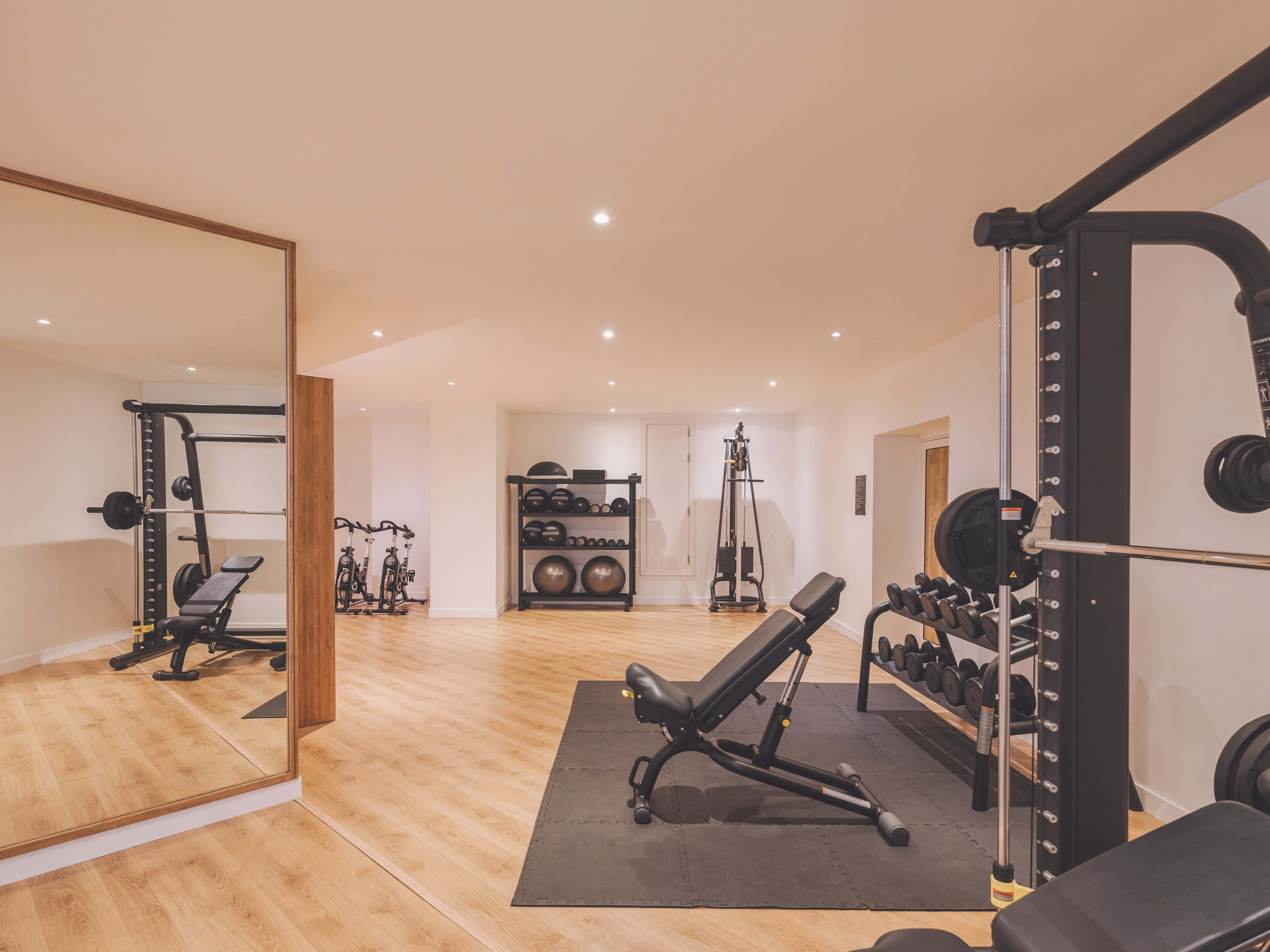 Modern home gym with free weights, benches, and cardio equipment.