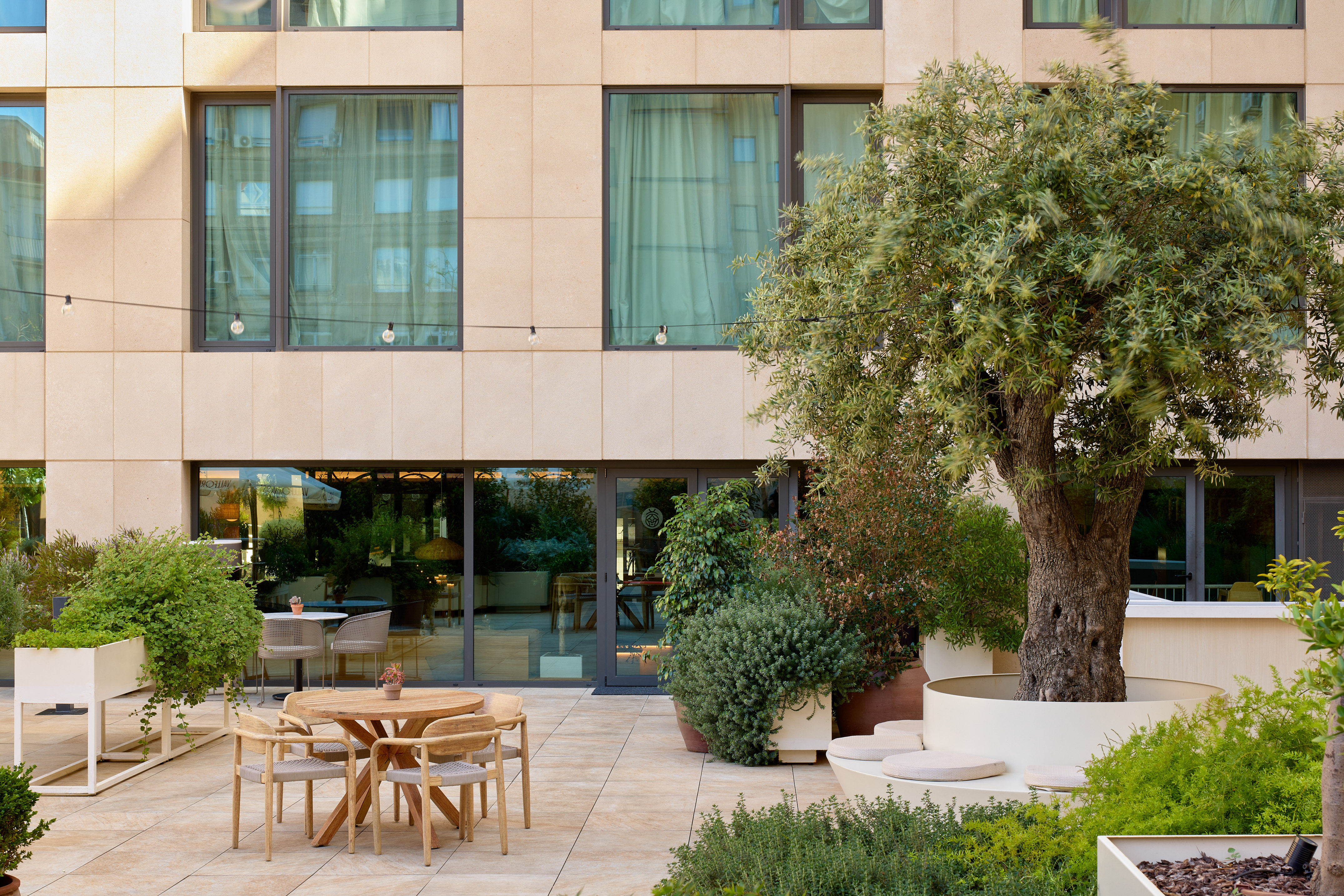 Modern outdoor terrace with dining area, lush plants, and an olive tree.
