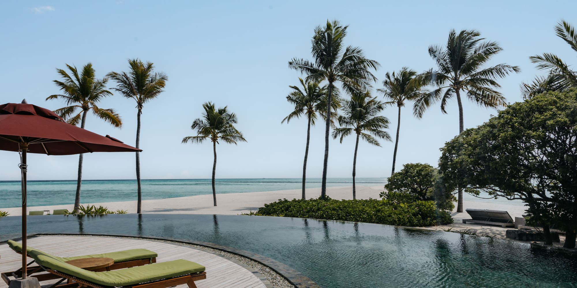 a pool with palm trees and a beach