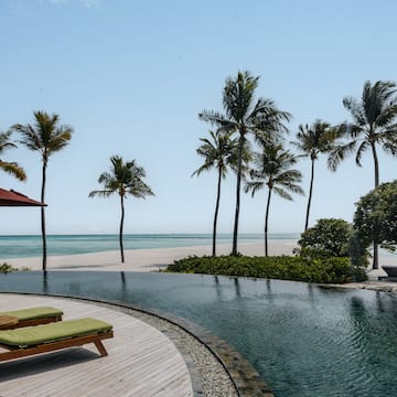 a pool with palm trees and a beach