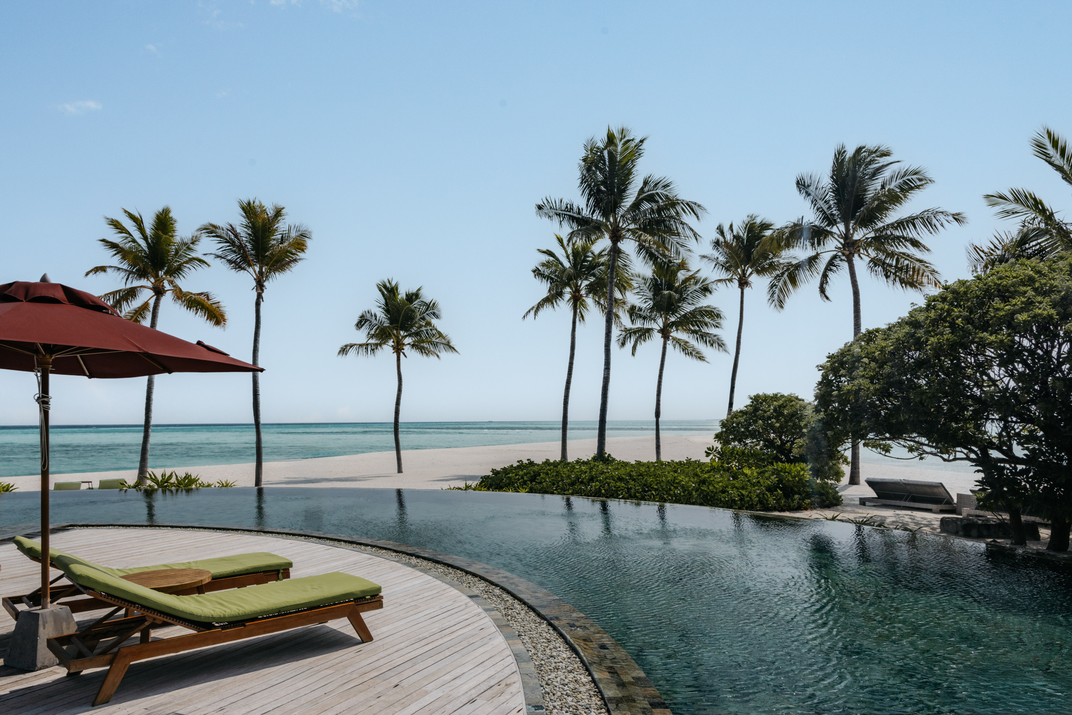 a pool with palm trees and a beach