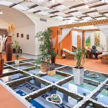 a room with a glass floor and plants