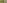 Close-up of giraffe's brown and tan spotted coat pattern. Wildlife.
