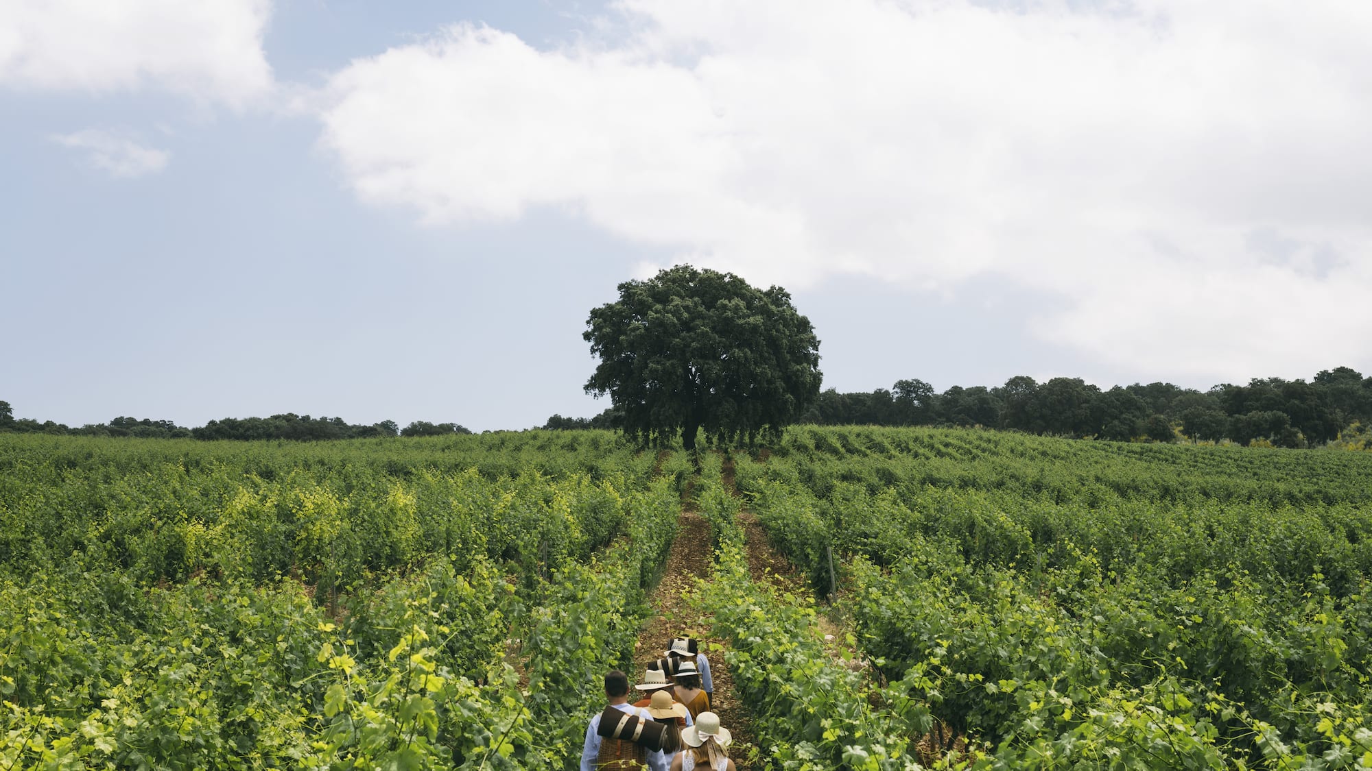 a group of people walking in a field