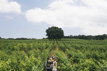 a group of people walking in a field