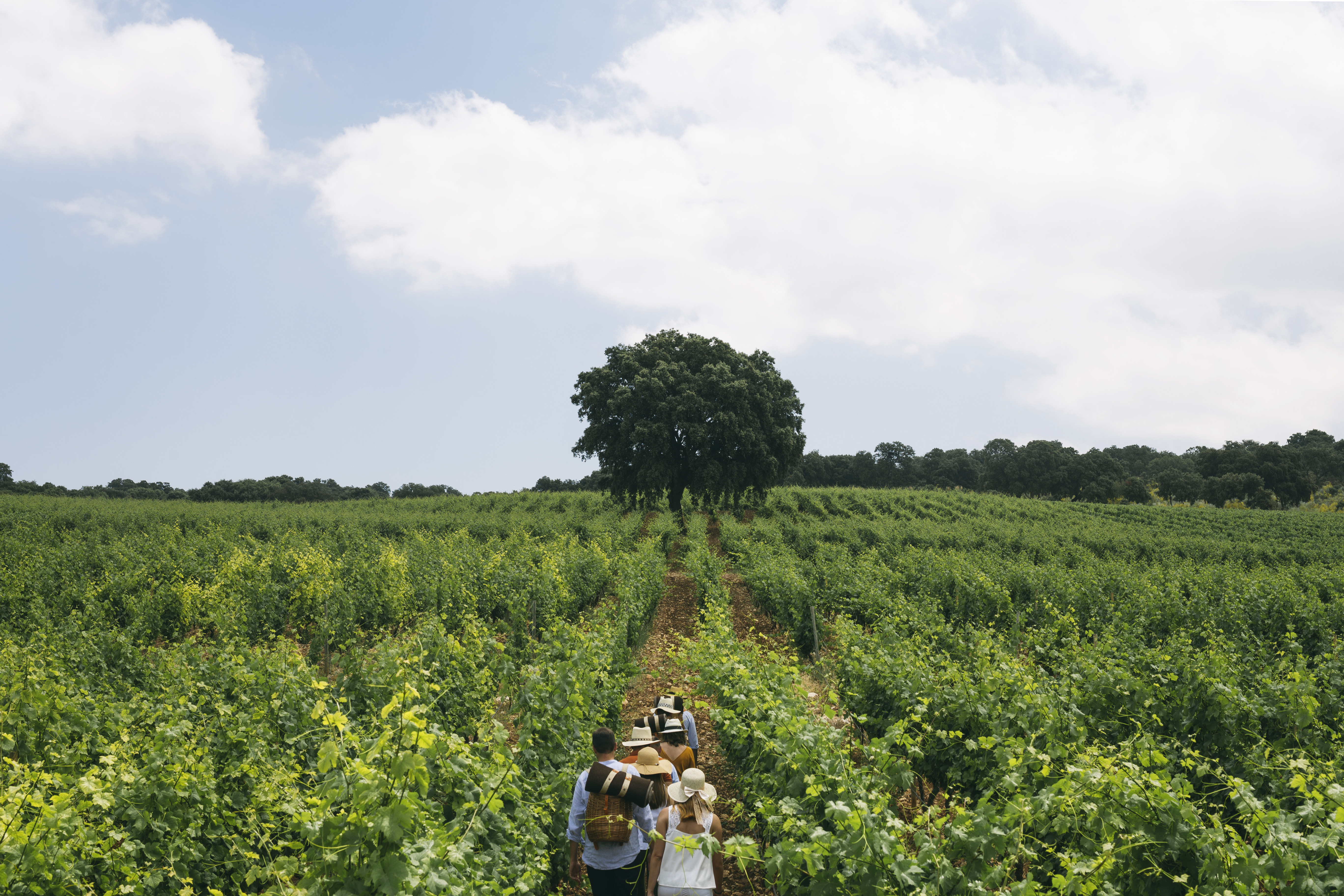 a group of people walking in a field
