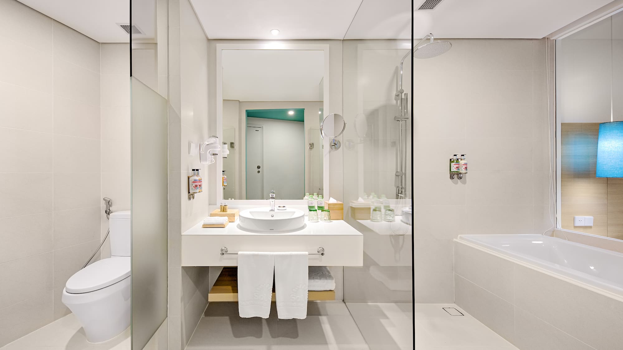 a bathroom with a sink and a toilet