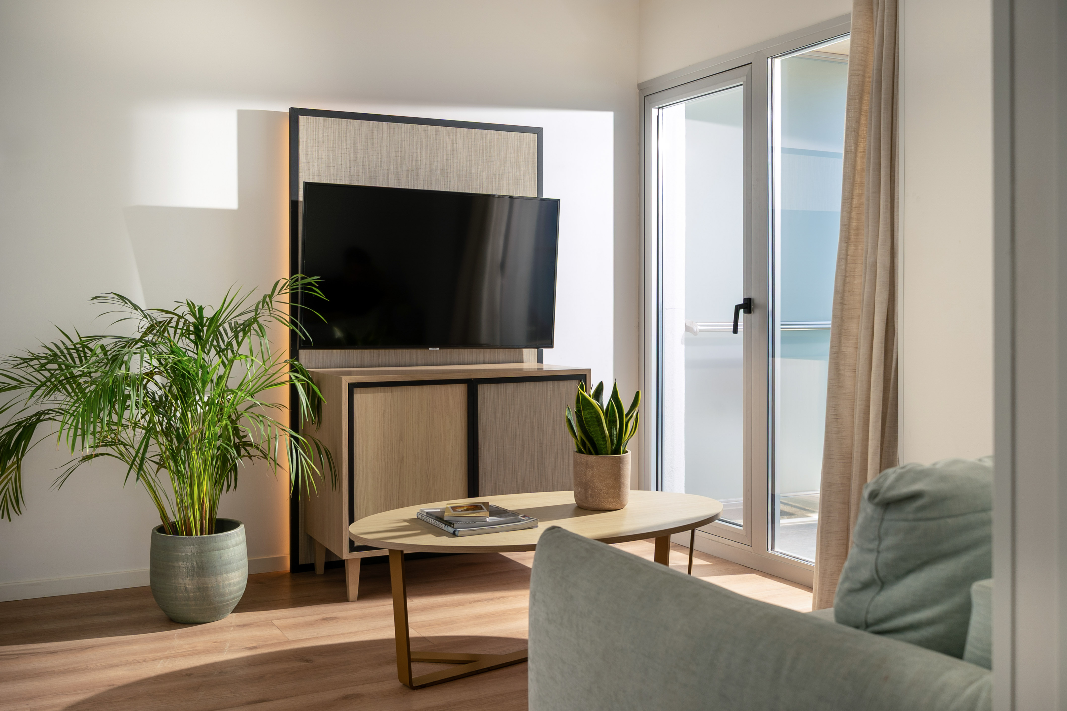 Modern living room with TV cabinet, two plants, coffee table, and glass door.