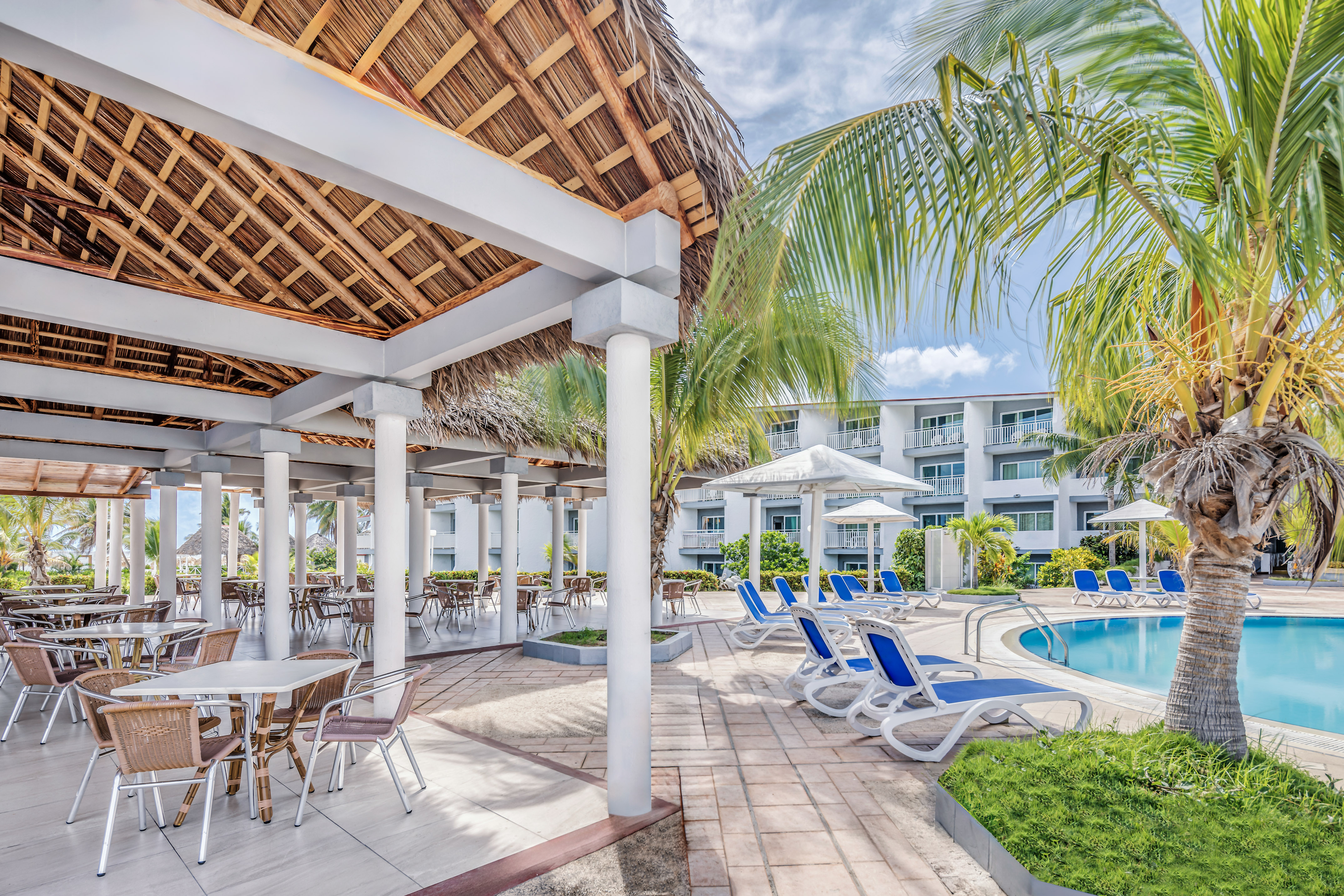 a pool with chairs and a thatched roof