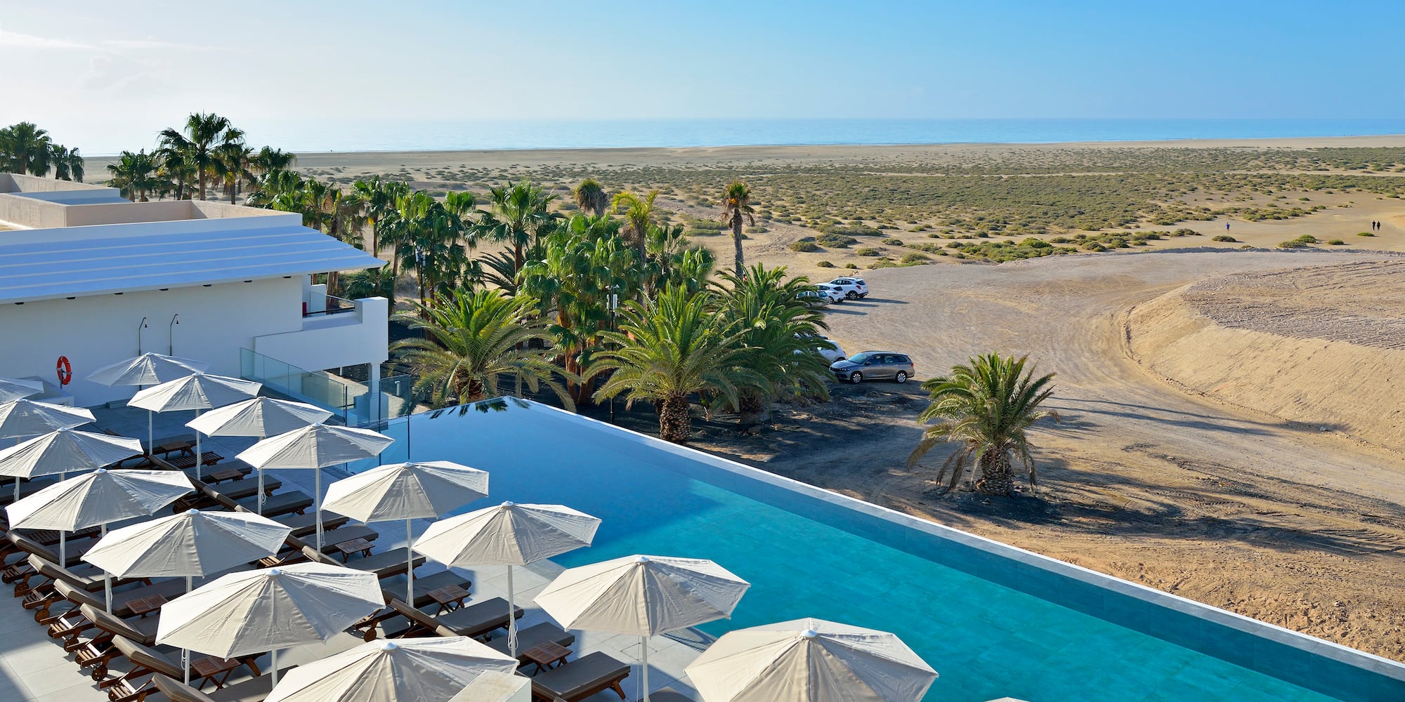 Resort infinity pool with sun loungers, palm trees, arid coast, and ocean.