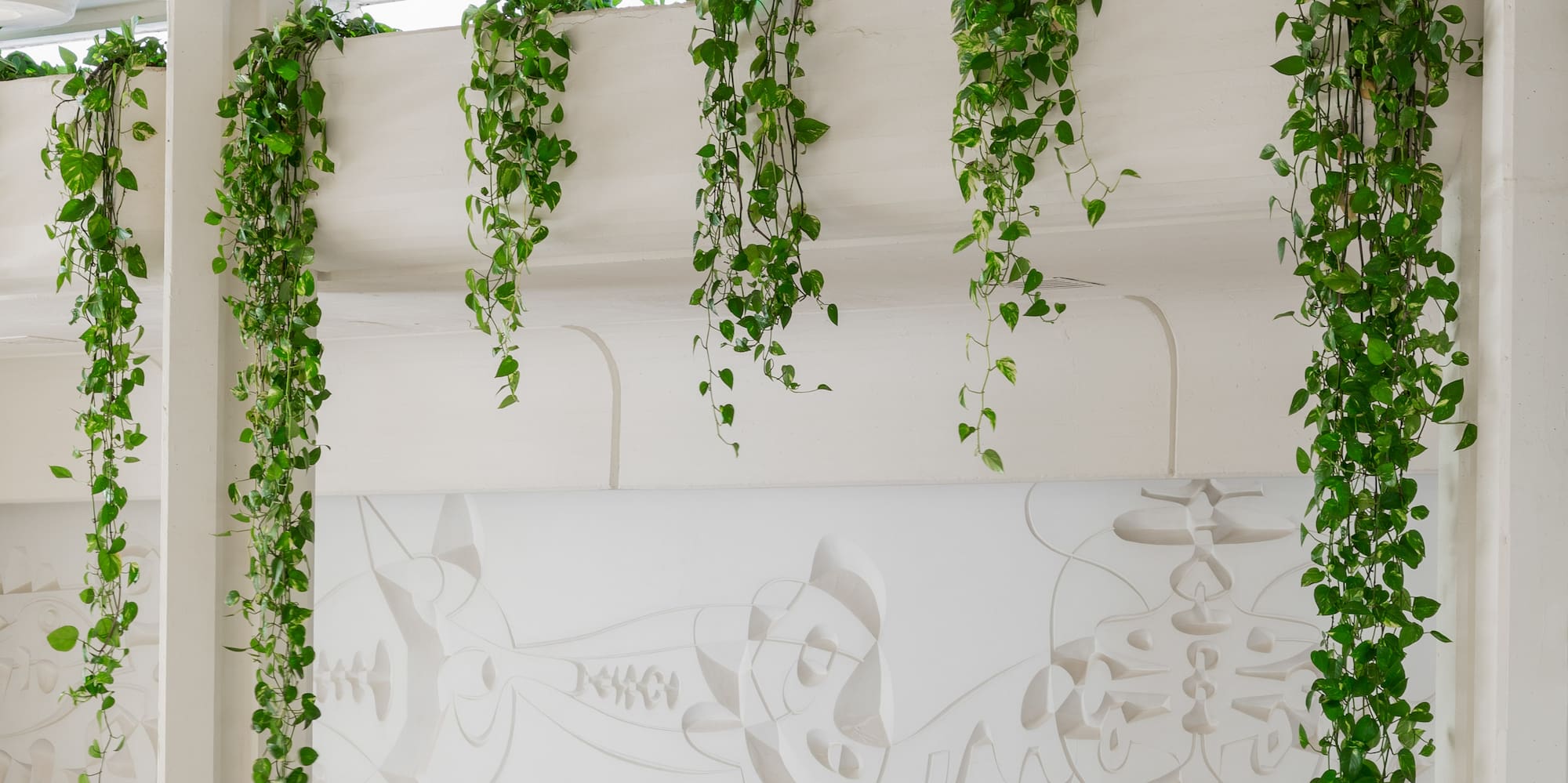 a white room with white couches and green plants
