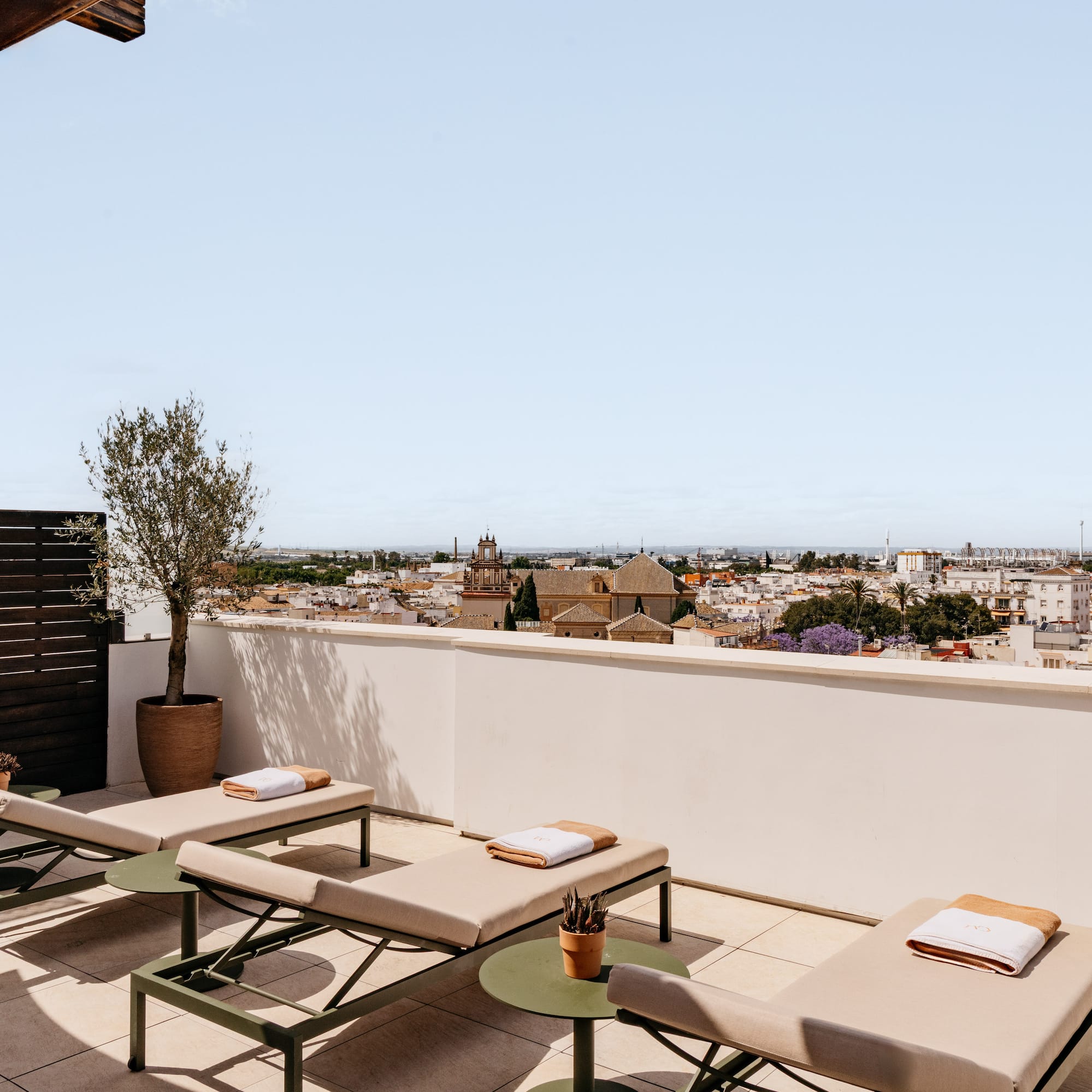 Terraza en azotea con tumbonas, olivo y vista a la ciudad.