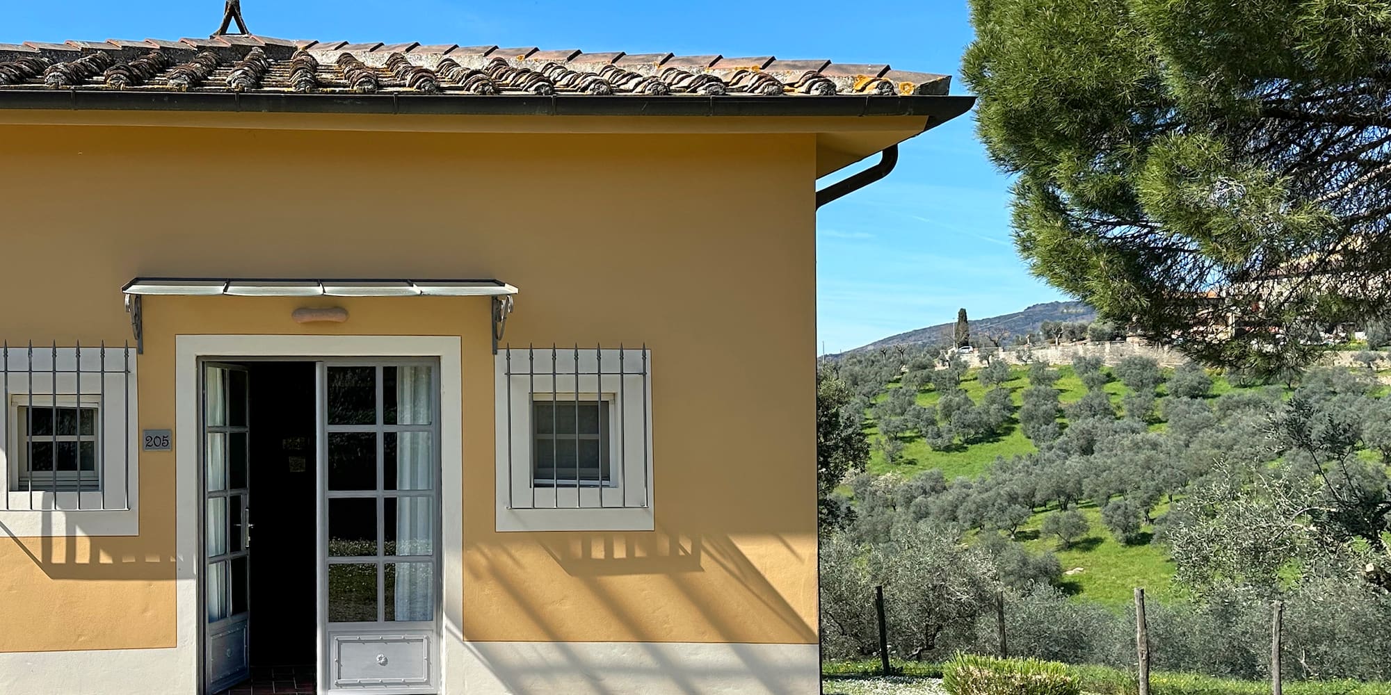 a building with a tree in the background