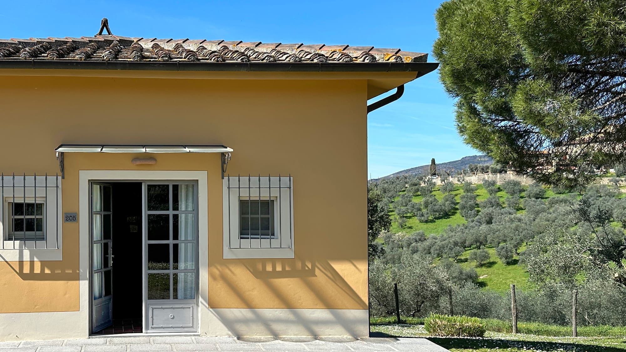 a building with a tree in the background