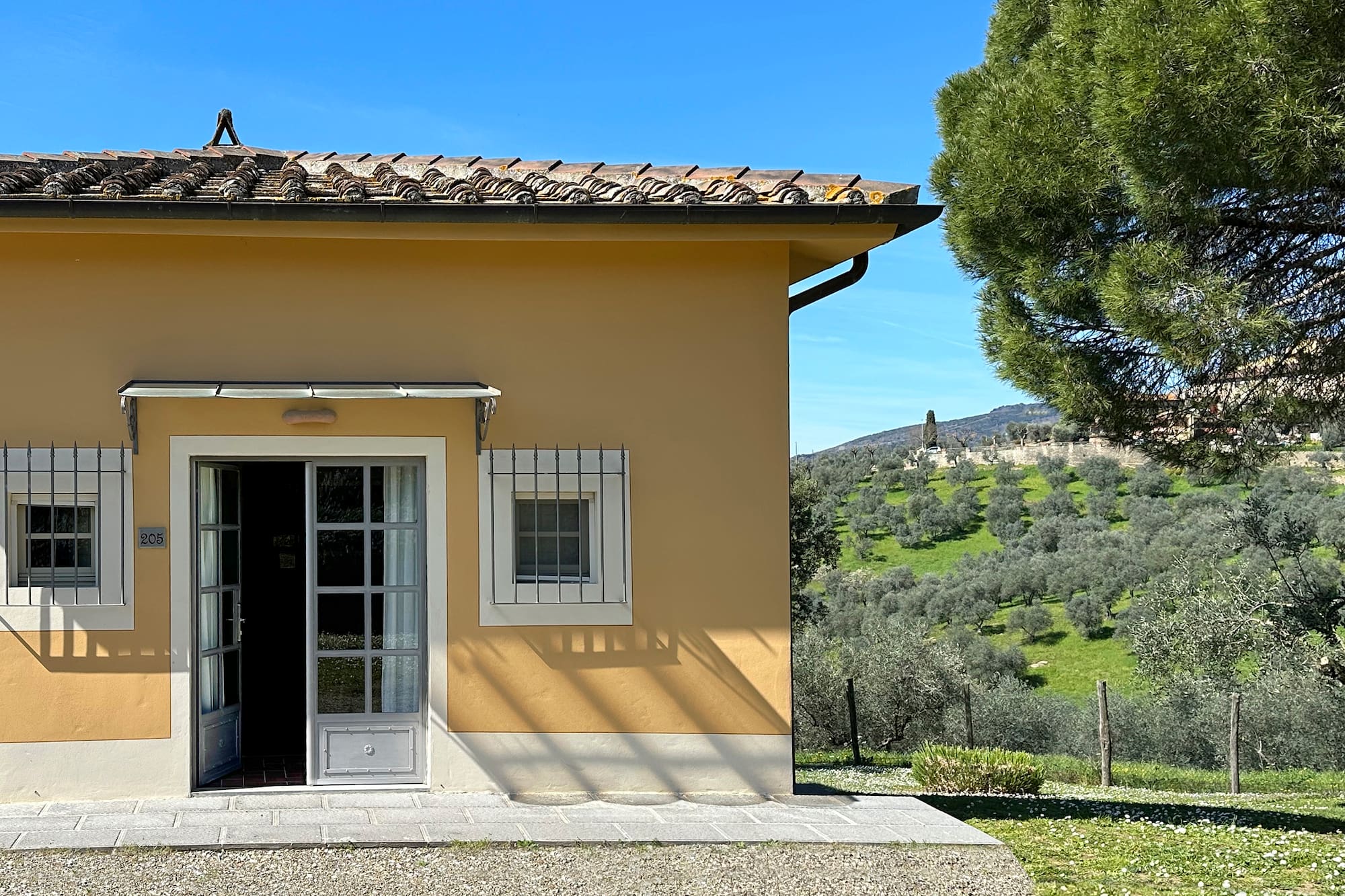 a building with a tree in the background