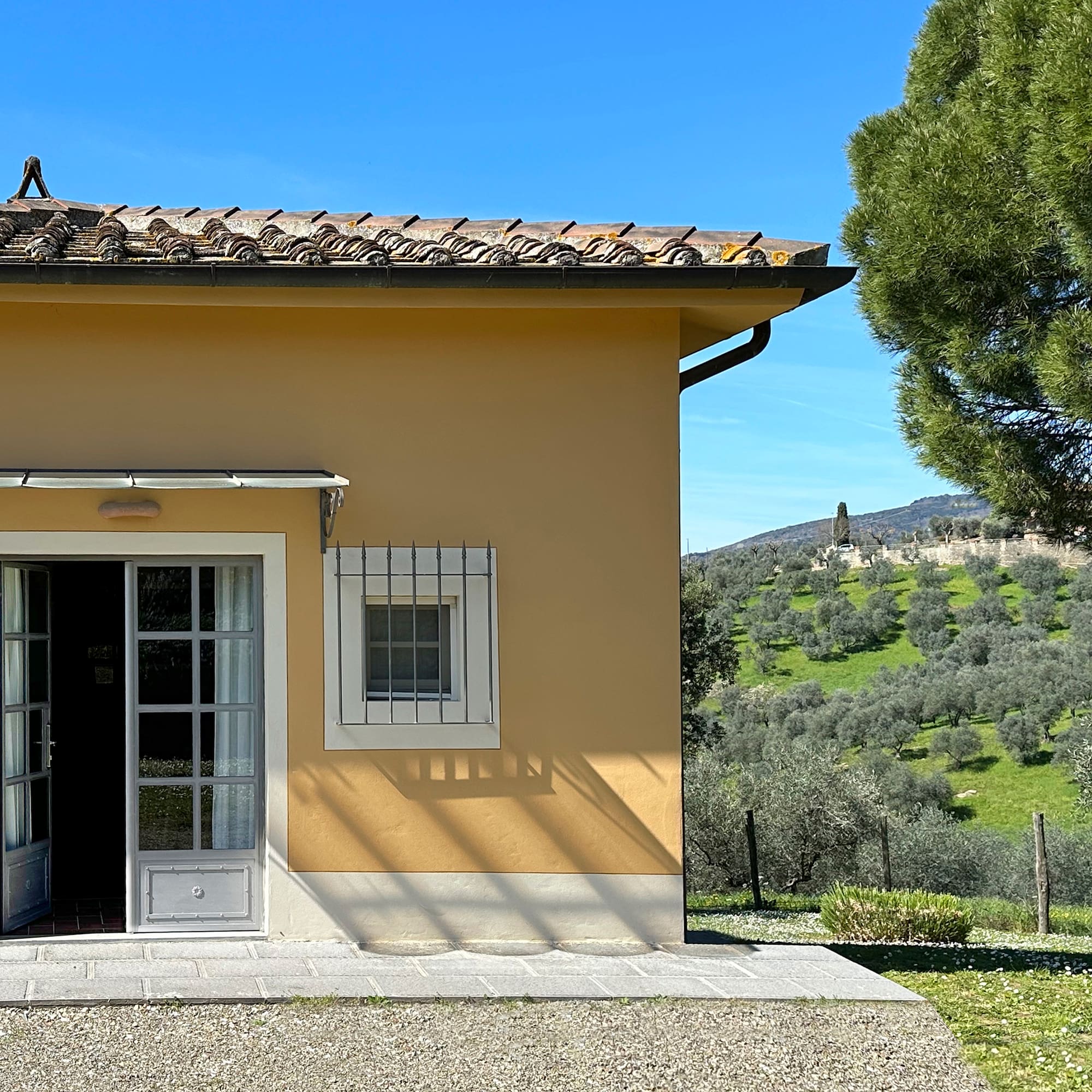 a building with a tree in the background