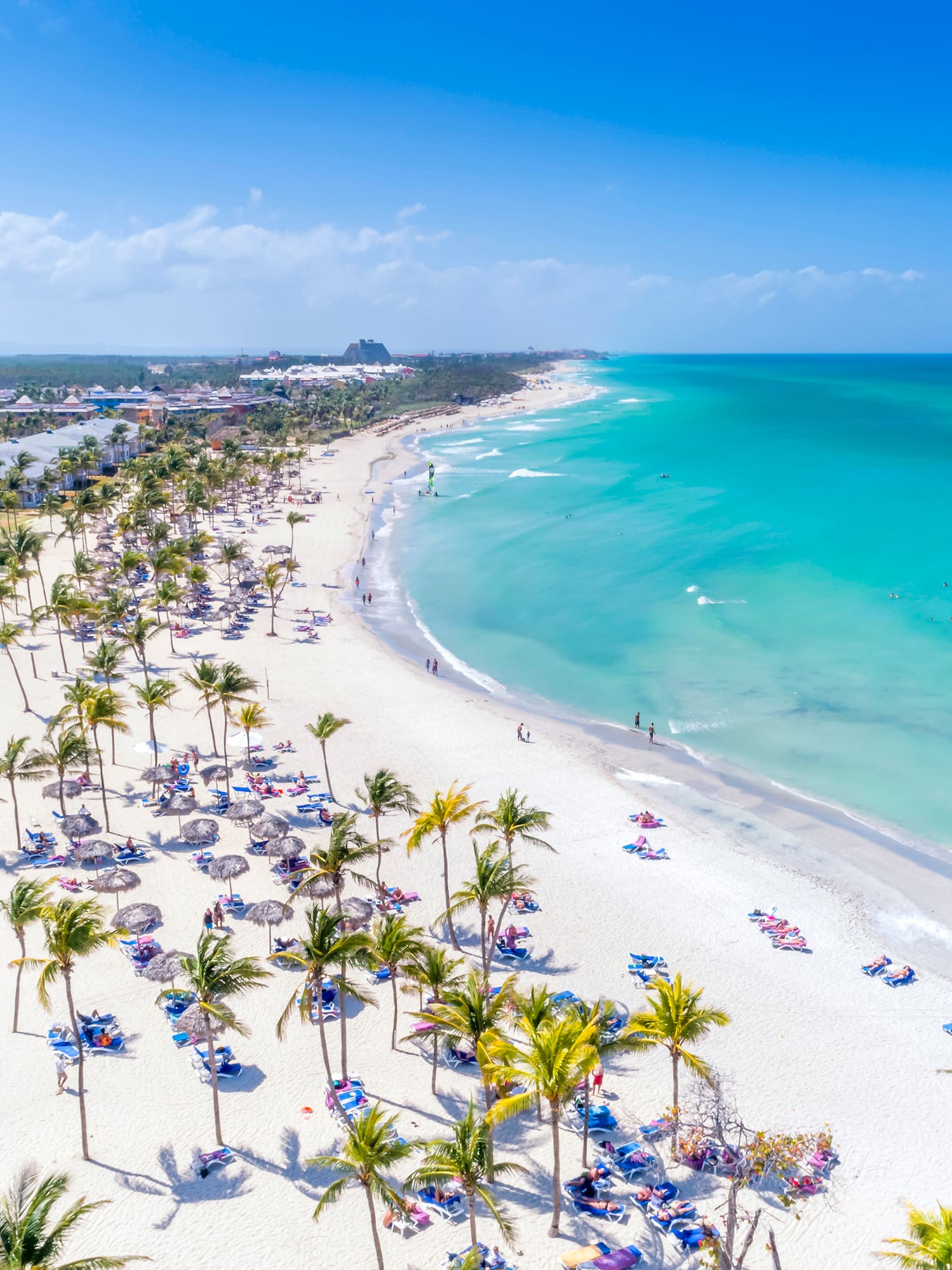 a beach with palm trees and blue water