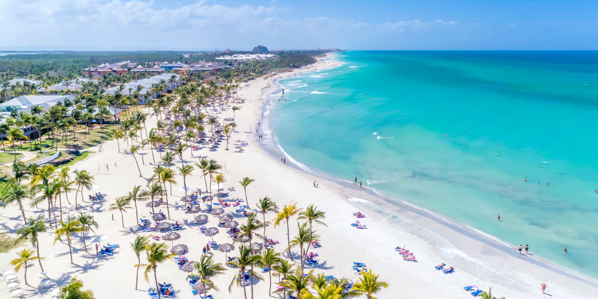 a beach with palm trees and blue water