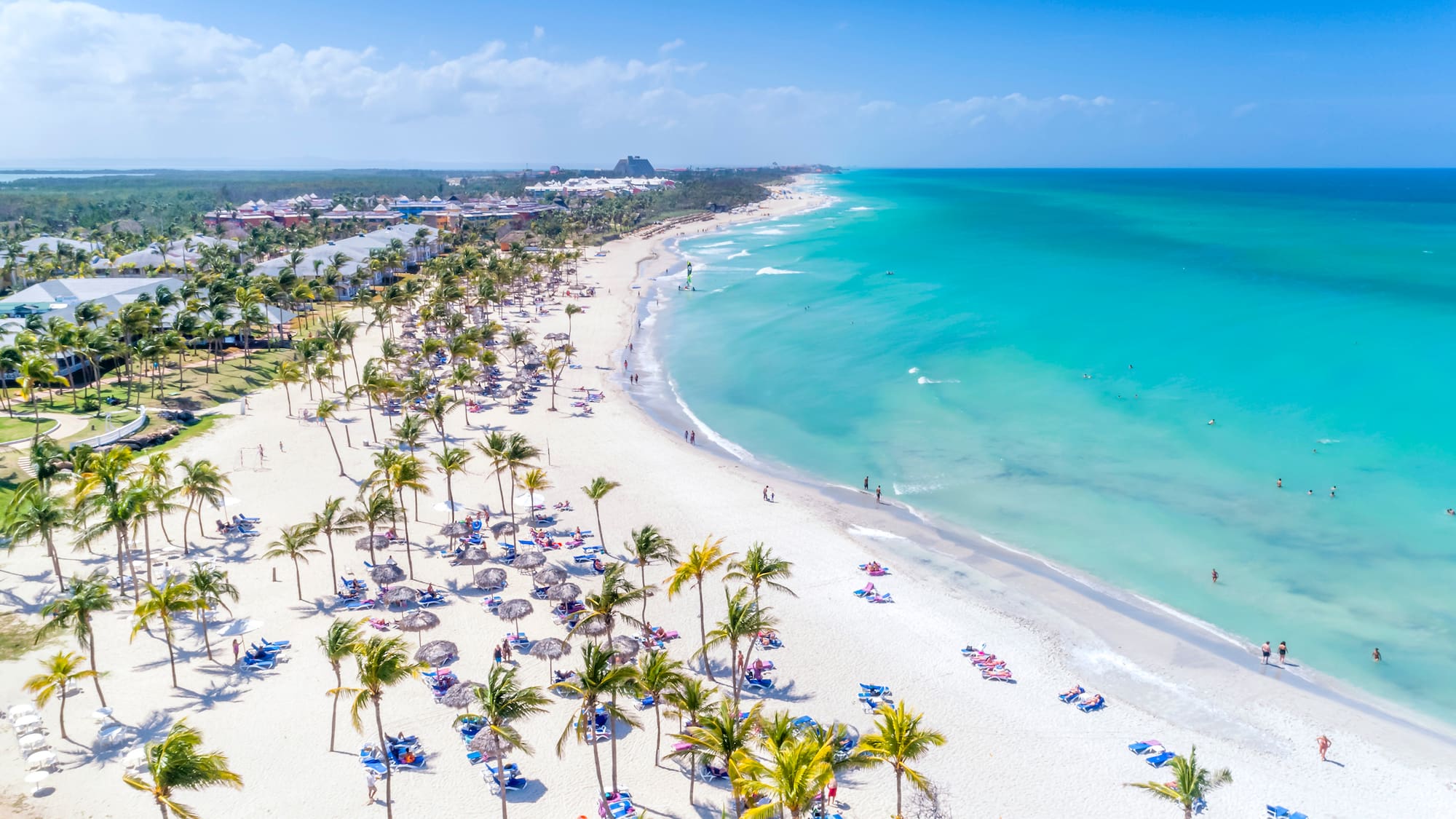 a beach with palm trees and blue water