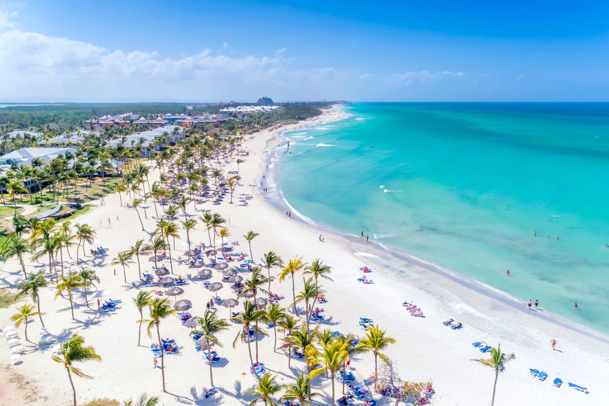 a beach with palm trees and blue water