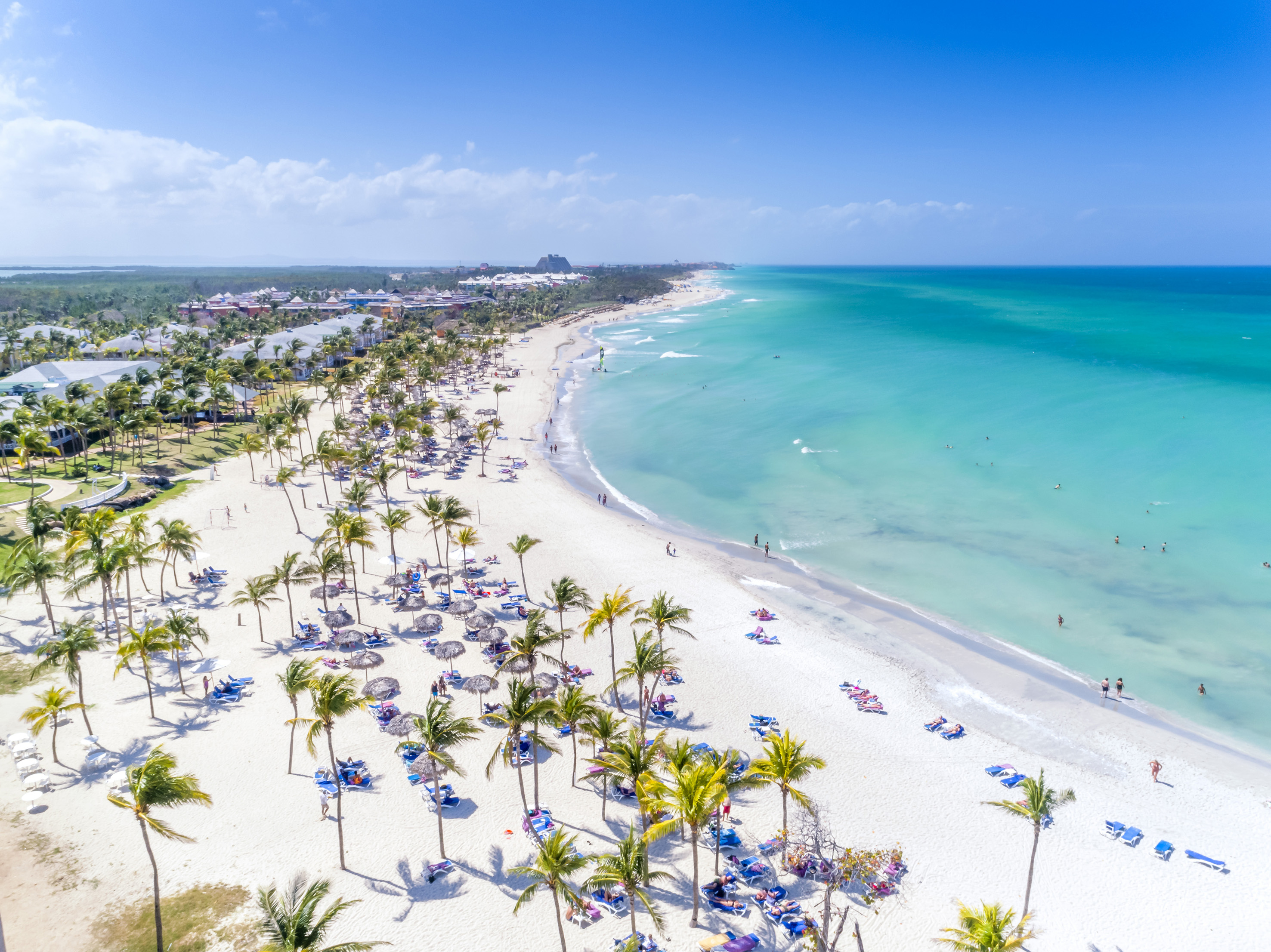 a beach with palm trees and blue water