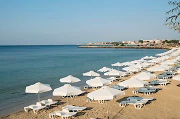 a beach with white umbrellas and lounge chairs