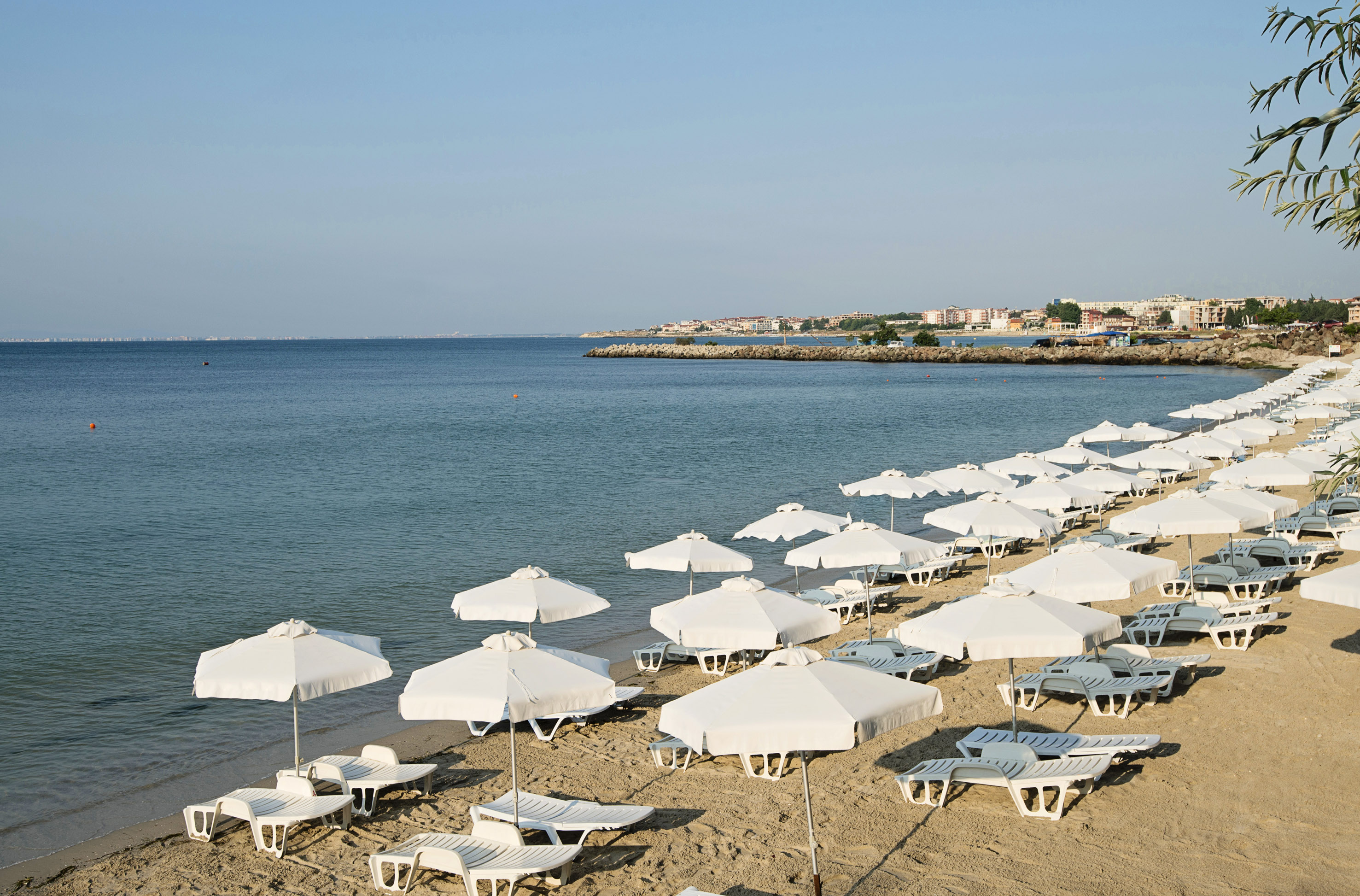 a beach with white umbrellas and lounge chairs
