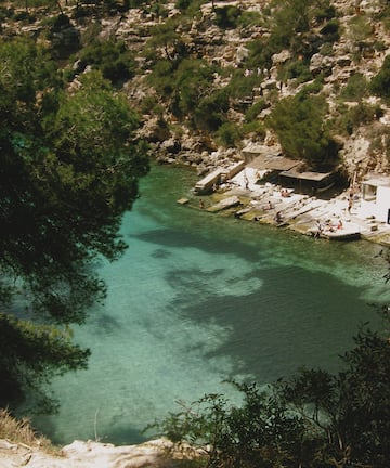 a body of water with a building and trees