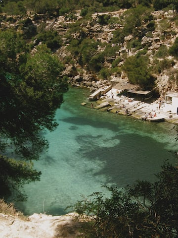 a body of water with a building and trees