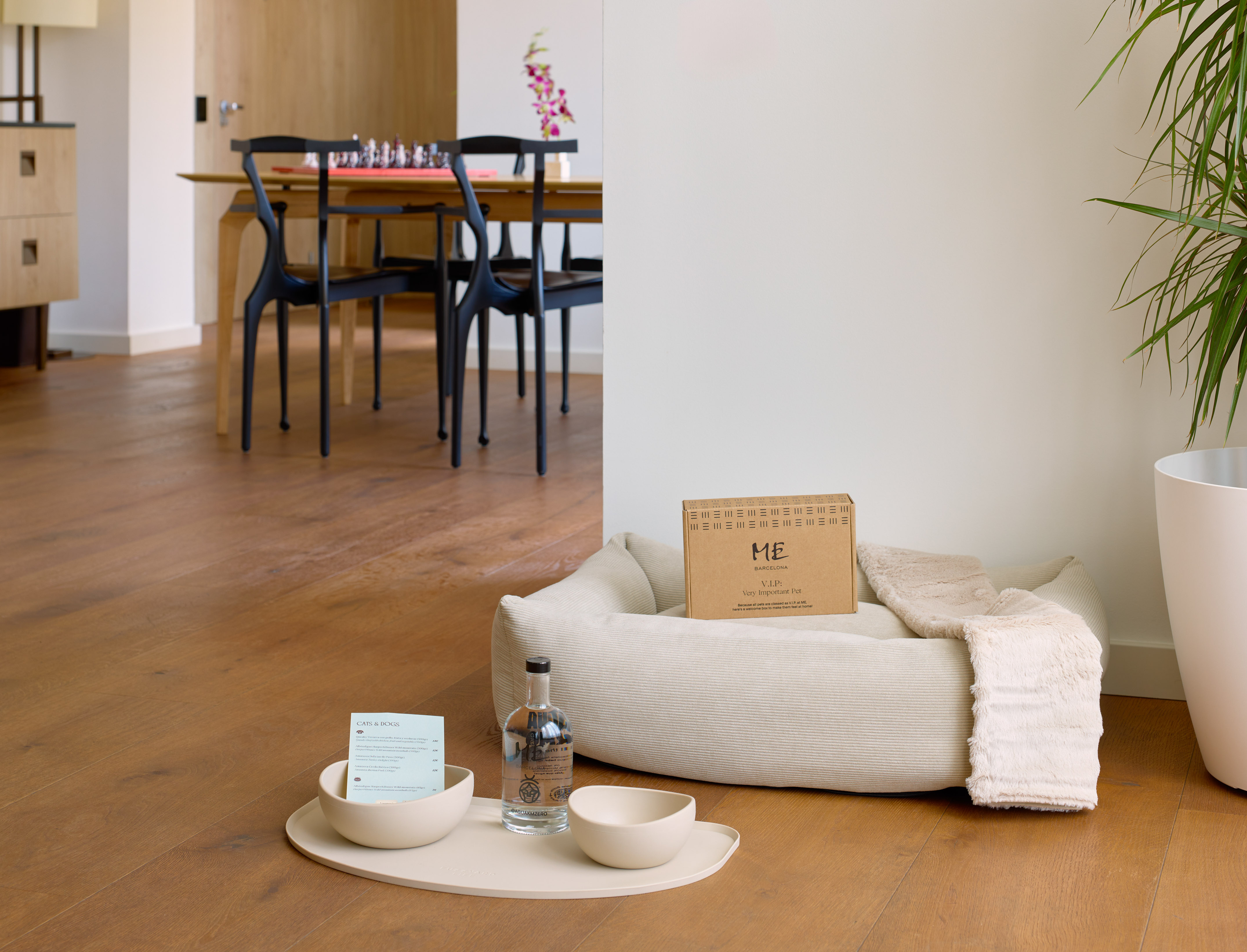 Luxury pet bed with VIP welcome box, bowls, and water on a wooden floor.