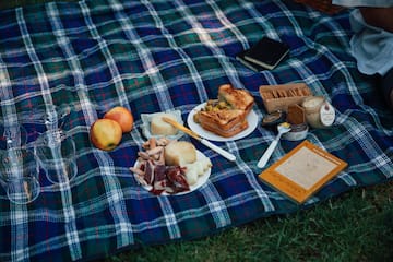 food on a blanket on the grass