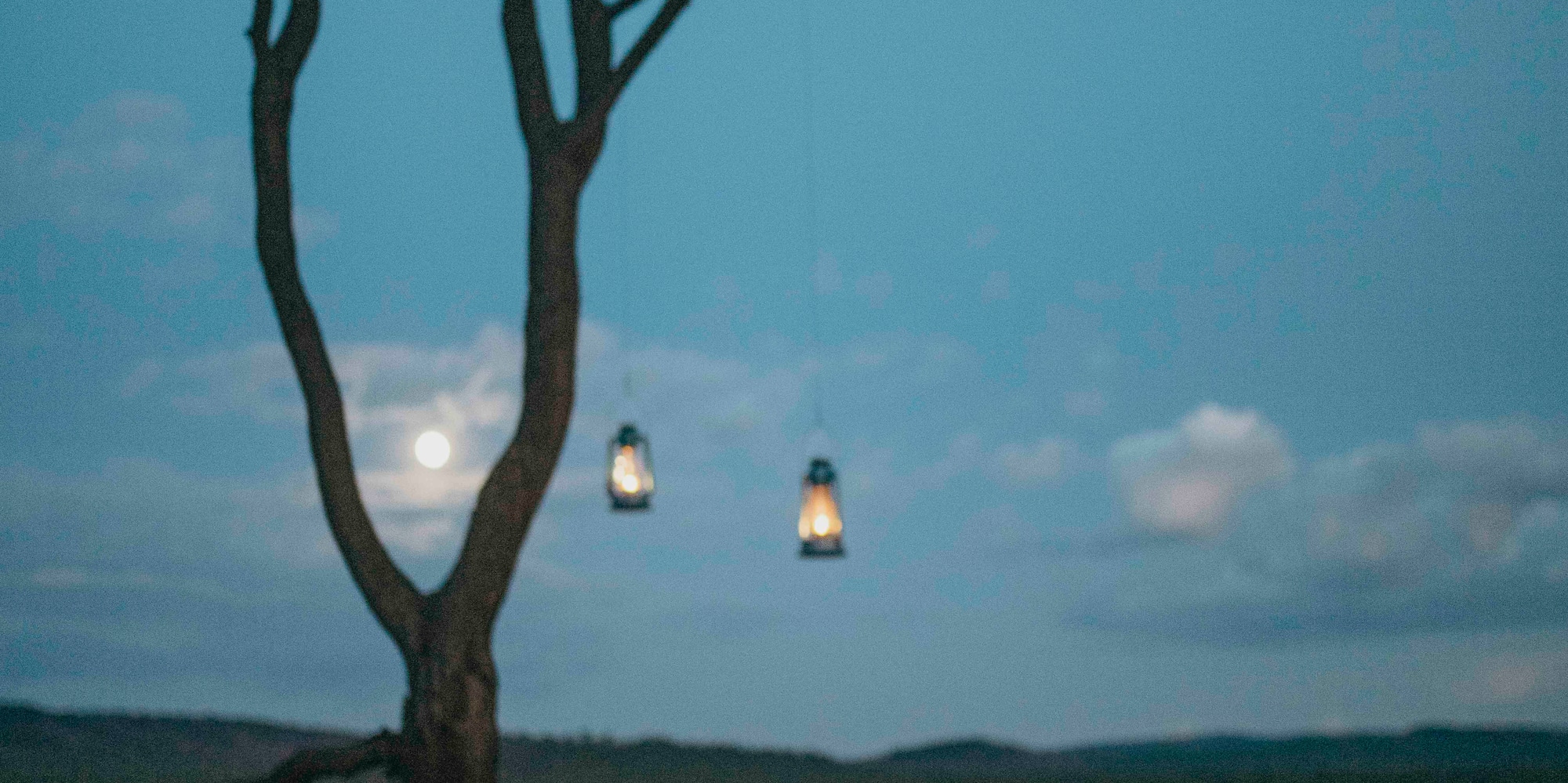a table with lanterns and a tree in the background