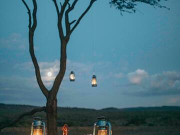 a table with lanterns and a tree in the background