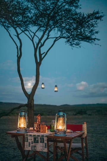 a table with lanterns and a tree in the background