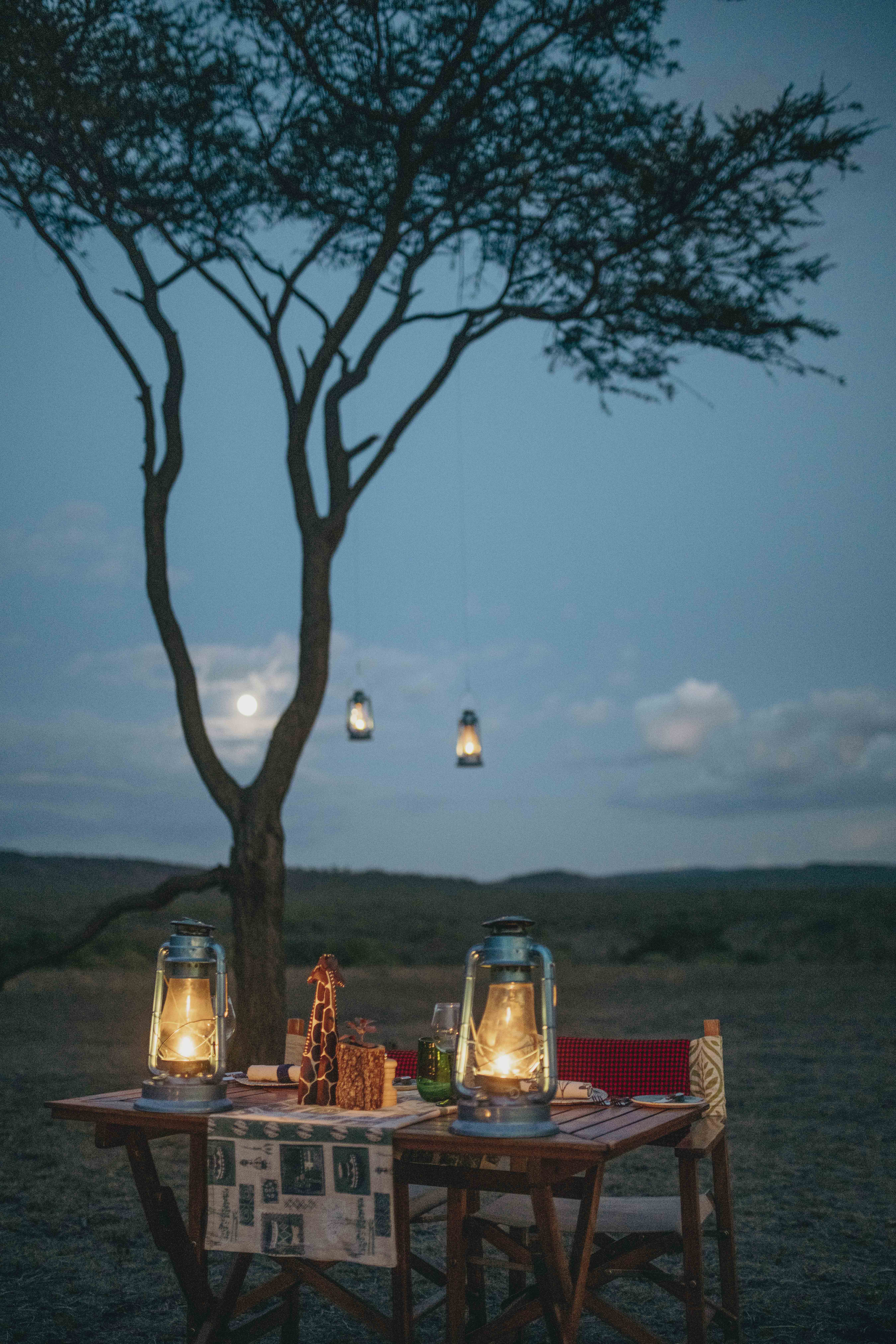 Safari dinner table with glowing lanterns, full moon, and tree at night.