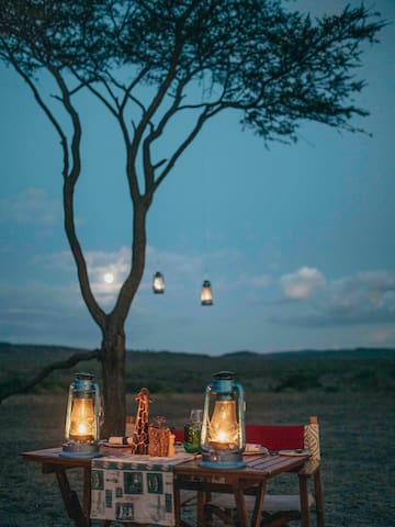 a table with lanterns and a tree in the background