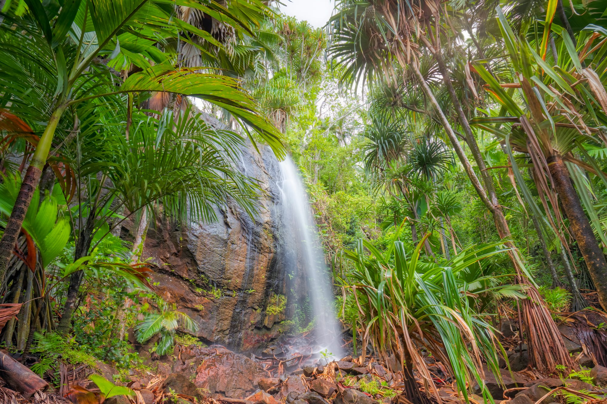 Cascada tropical en selva exuberante con palmeras y rocas.