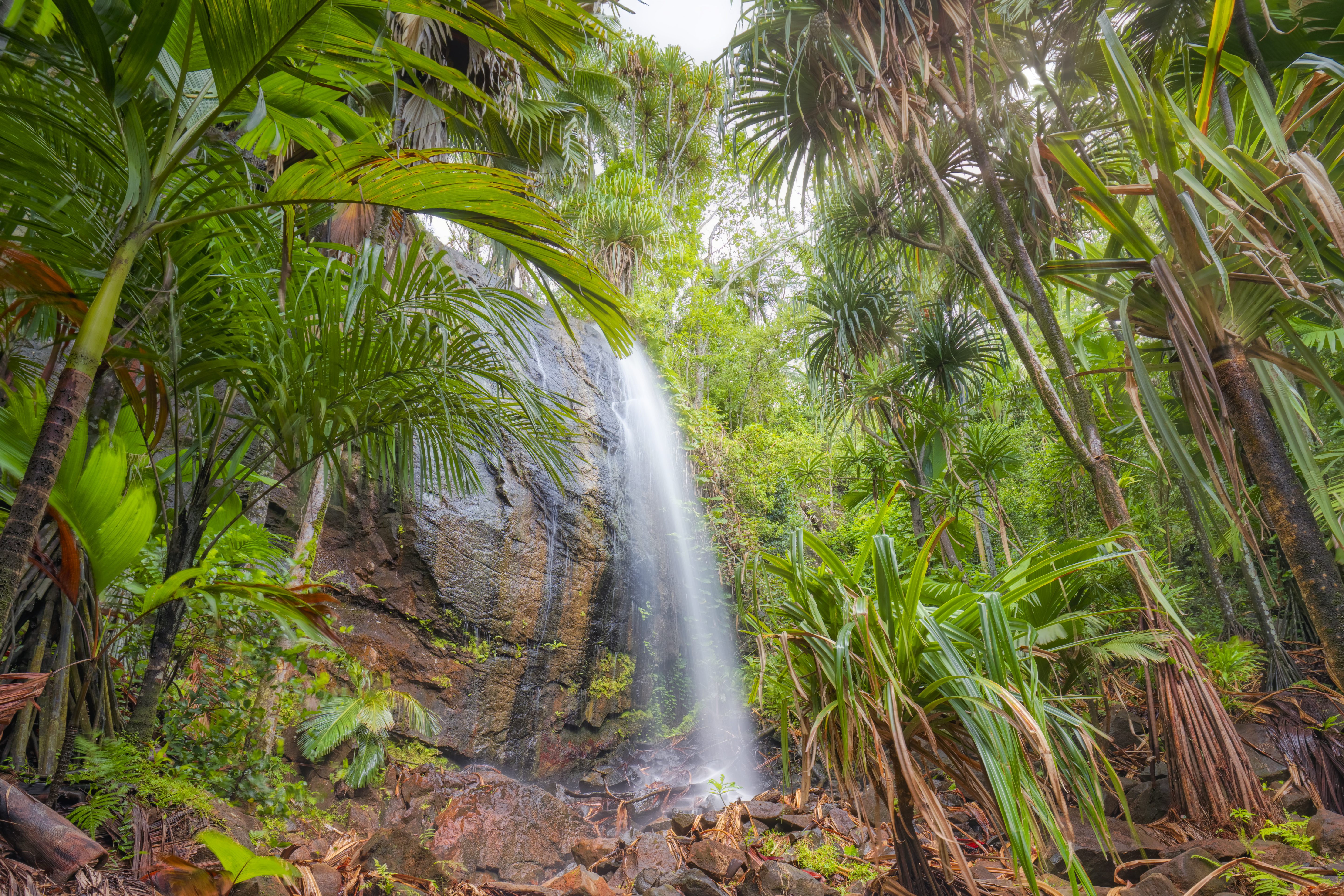 Cascada tropical en selva exuberante con palmeras y rocas.