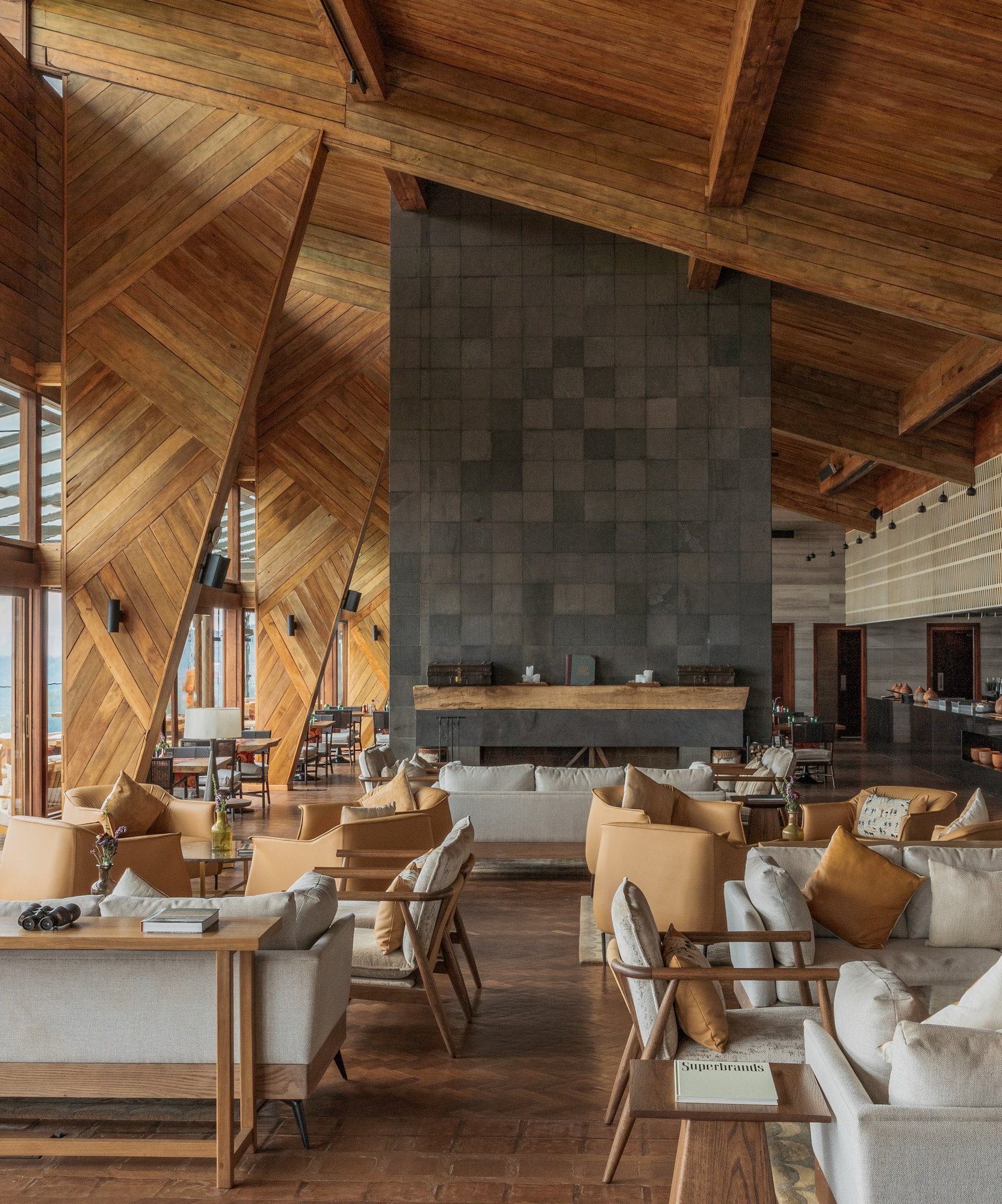 a room with a fireplace and couches