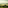 Sunrise over foggy Tuscan hills, with a historic villa and cypress trees.
