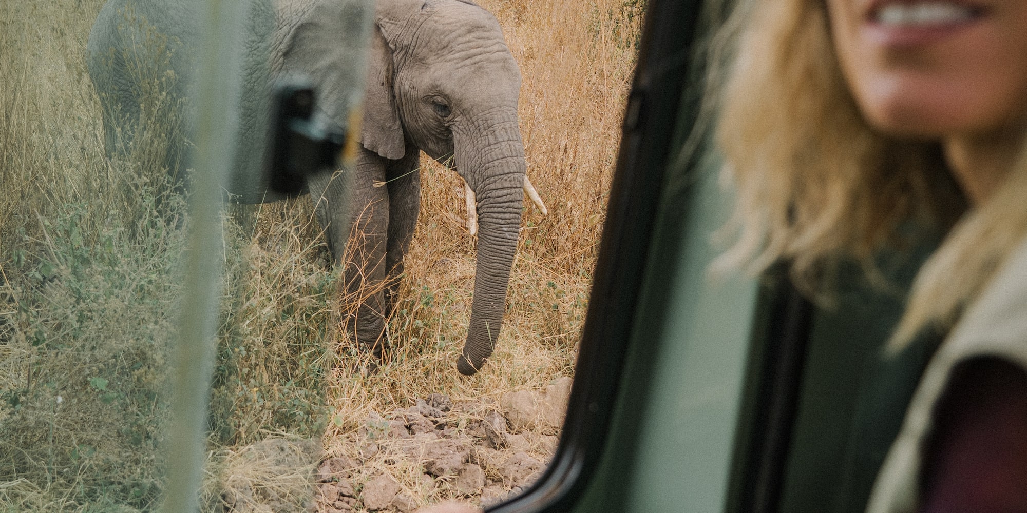 a woman looking at an elephant through a window