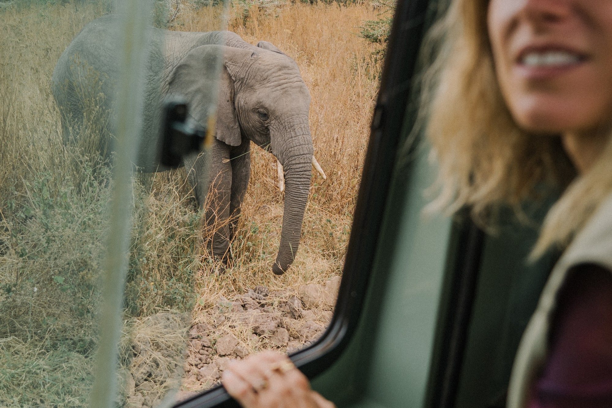 Woman on safari observing African elephant from jeep in savanna.