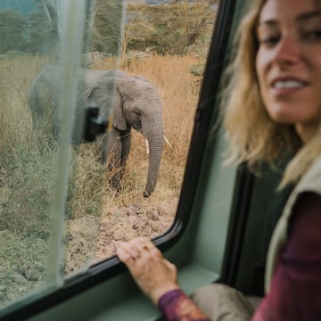 a woman looking at an elephant through a window
