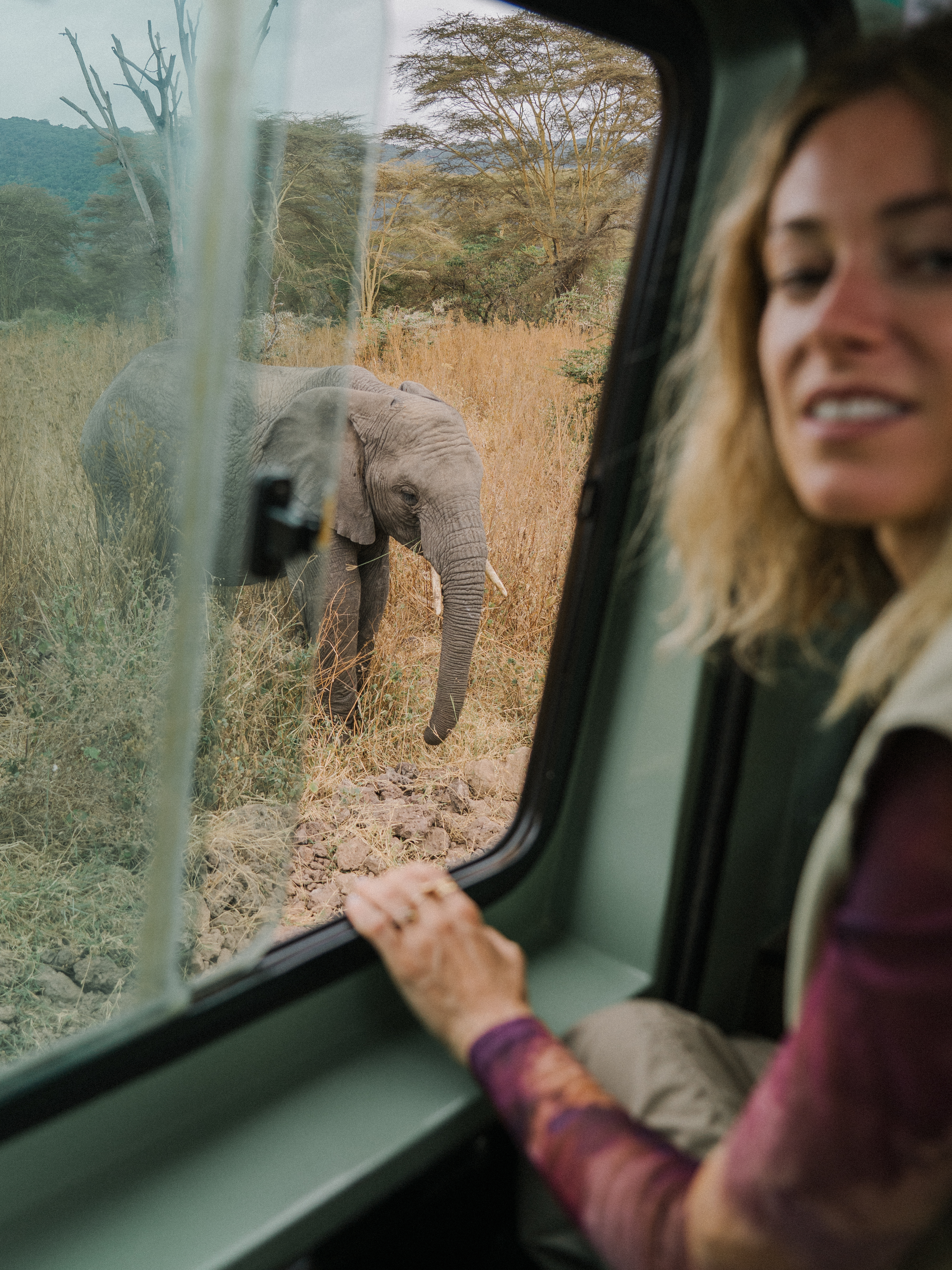 Woman on safari observing African elephant from jeep in savanna.