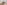 Assorted sweet pastries on a silver tray: orange, chocolate, and powdered sugar.