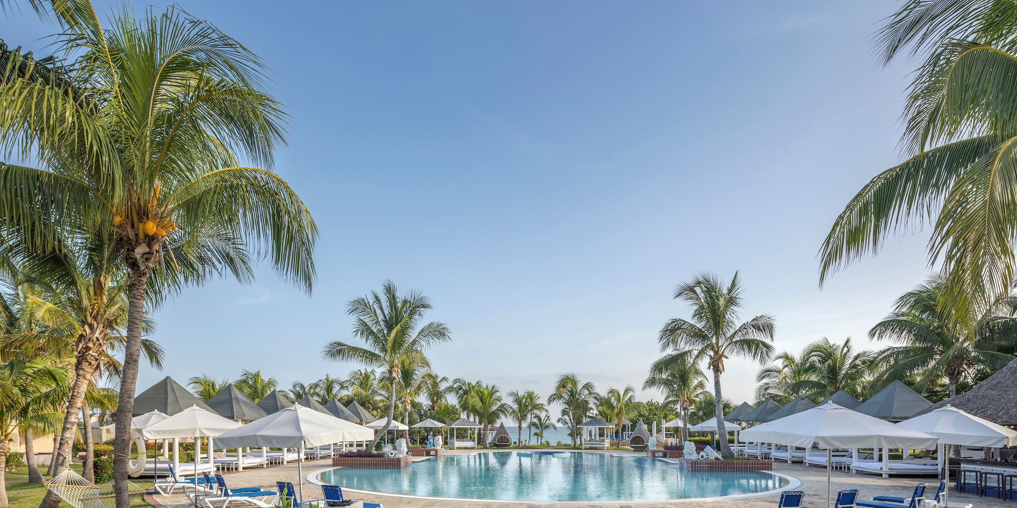 a pool with palm trees and chairs