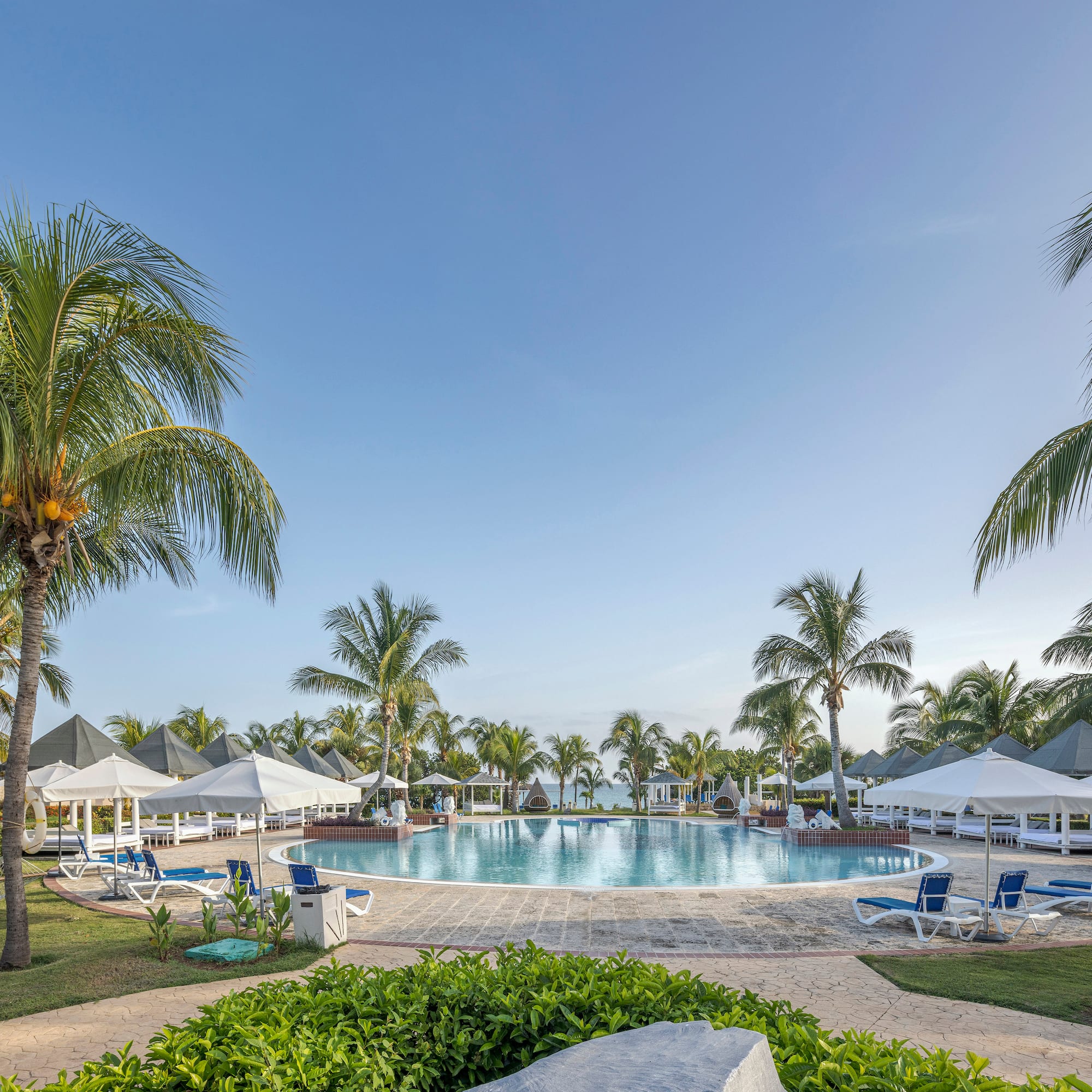 a pool with palm trees and chairs