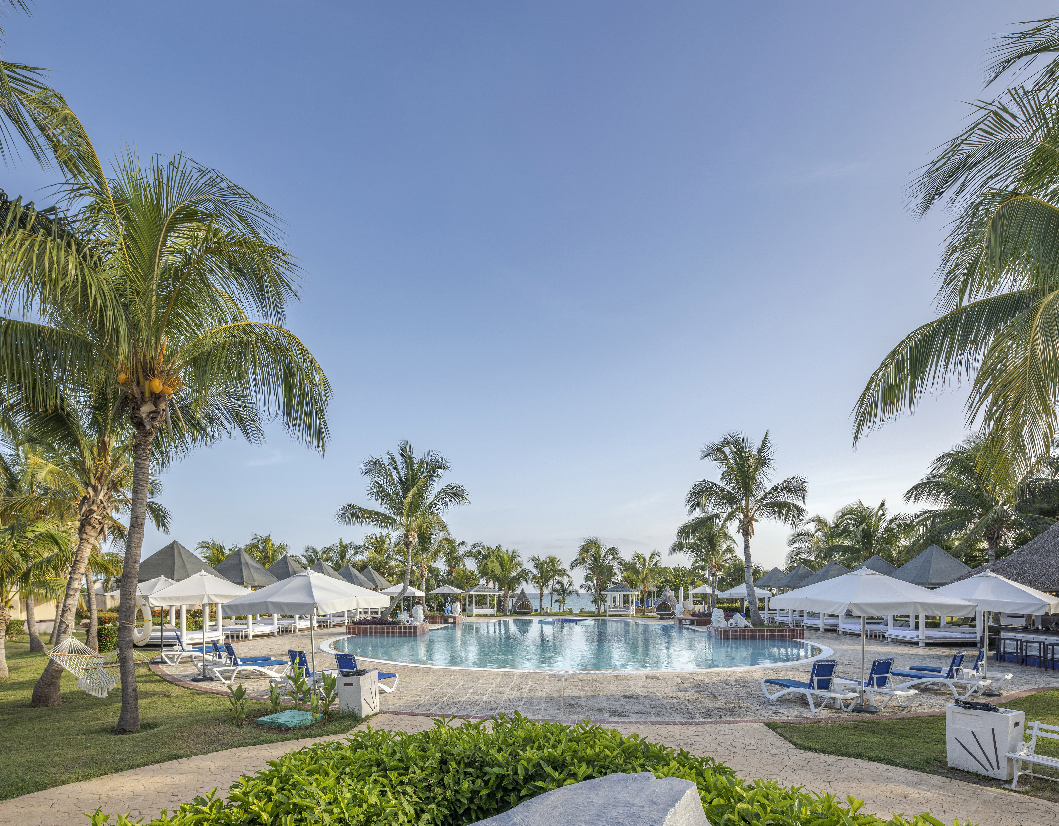 a pool with palm trees and chairs