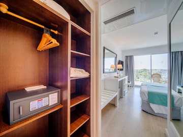 a room with a bed and a closet