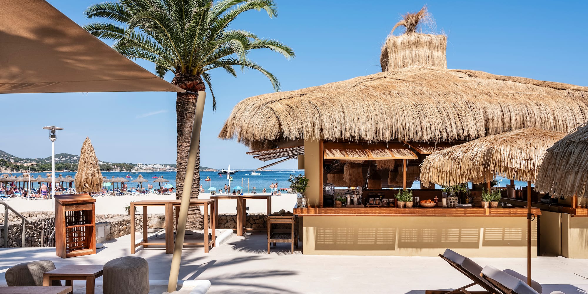 a beach bar with palm trees and chairs
